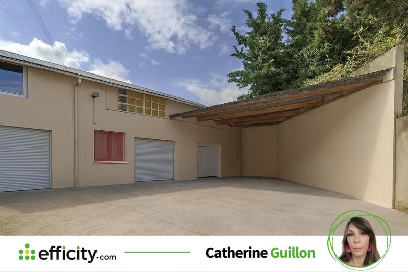 Immeuble - 196 m² - 8 pièces