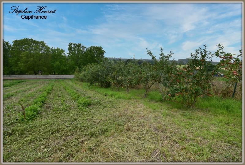Terrain constructible - 4 770 m²