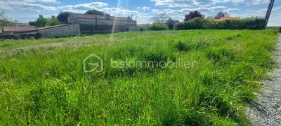 Terrain constructible - 1 300 m²