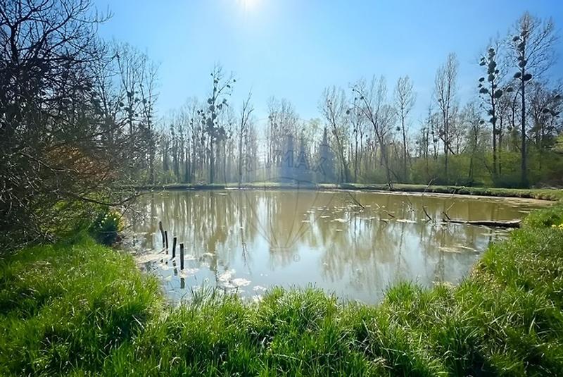 Maison - 242 m² - 6 pièces