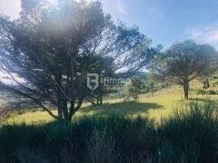 Terrain de loisirs - 26 000 m²