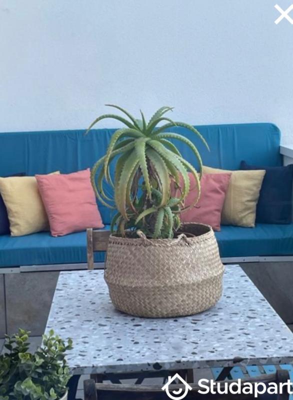 Chambre - 10 m² - 1 pièce