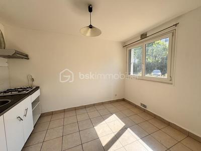 Studio - 35 m² - 1 pièce