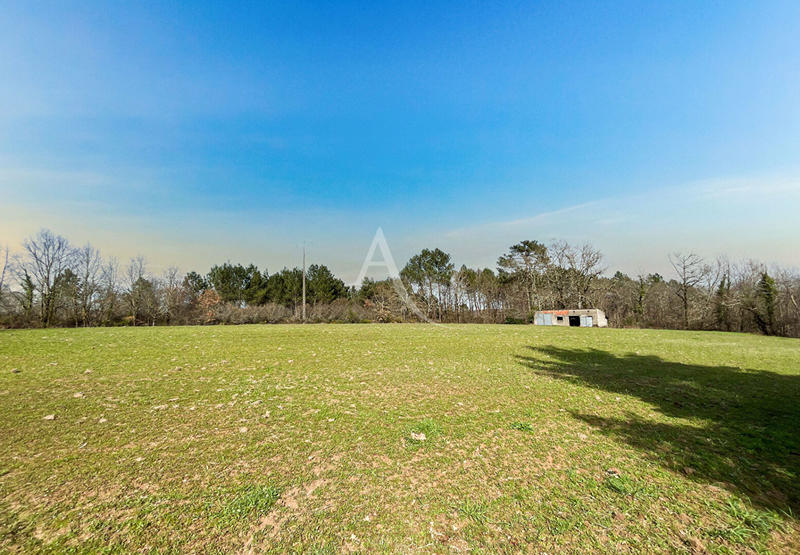 Maison - 230 m² - 7 pièces