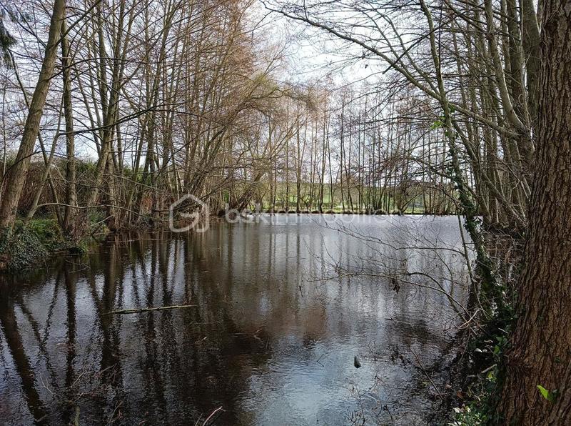 Terrain de loisirs - 2 900 m²