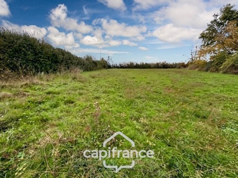 Terrain constructible - 4 300 m²