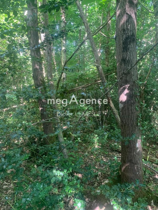 Terrain agricole - 5 550 m²