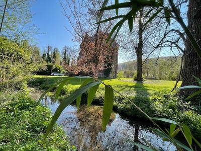 Maison de maîtres - 300 m² - 9 pièces