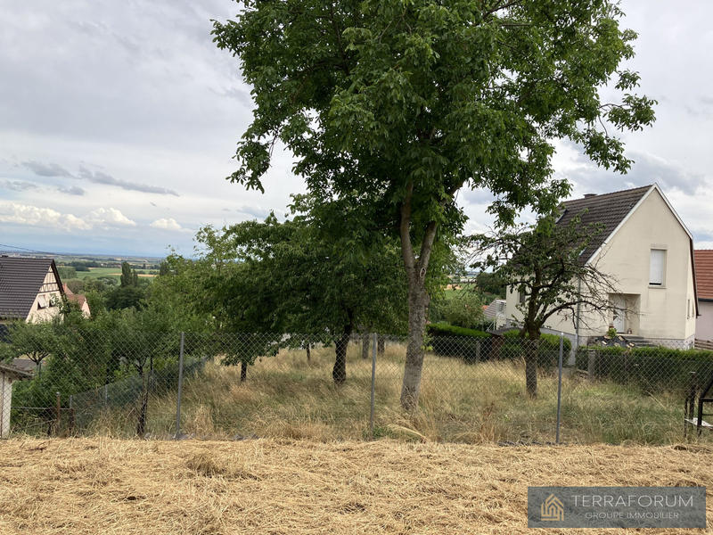 Terrain - 1 115 m²