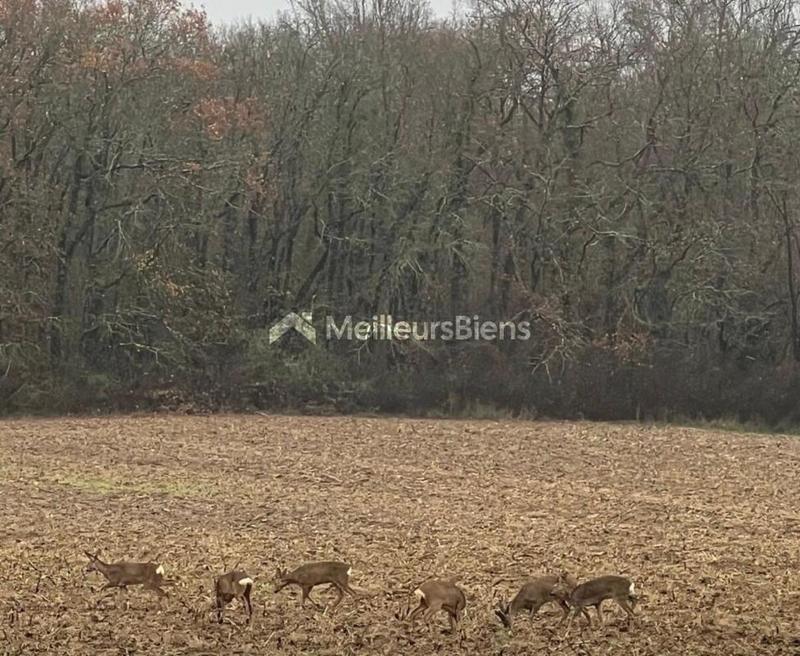 Maison - 141 m² - 6 pièces