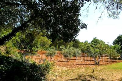 Propriété - 400 m² - 10 pièces