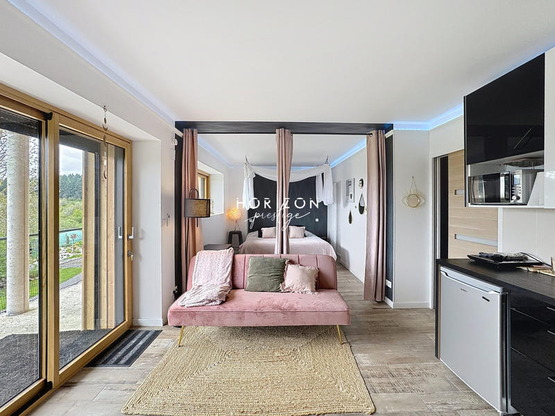 Maison ancienne - 540 m² - 13 pièces