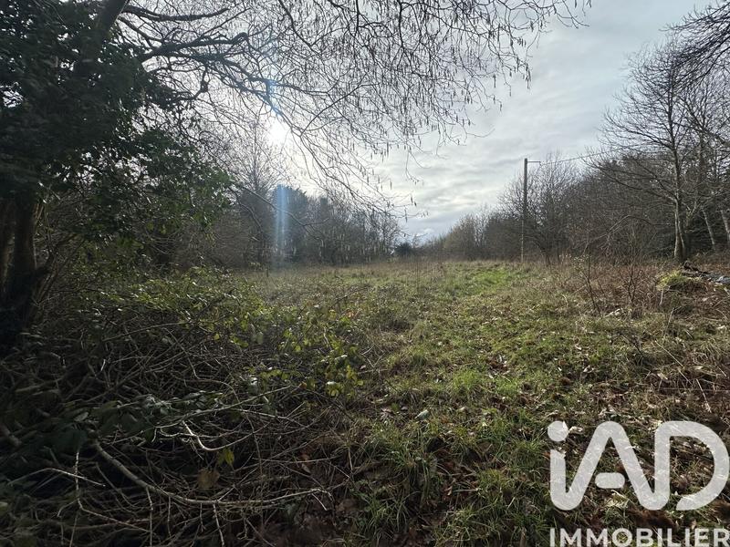 Maison de campagne - 94 m² - 4 pièces