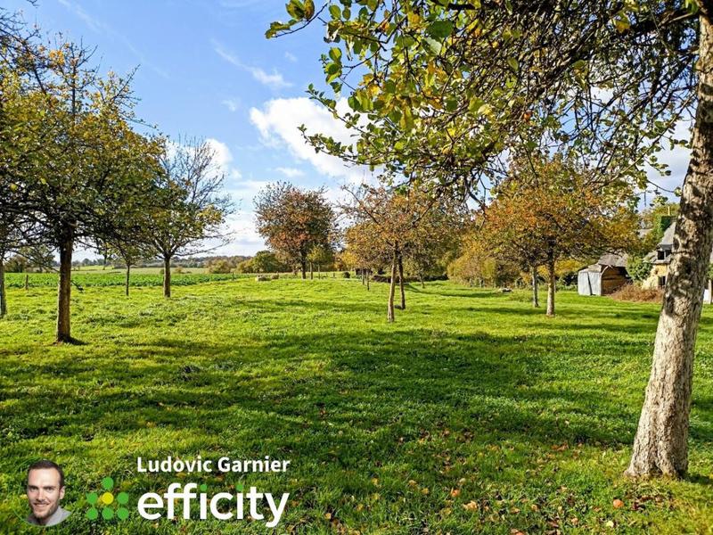 Maison - 300 m² - 1 pièce