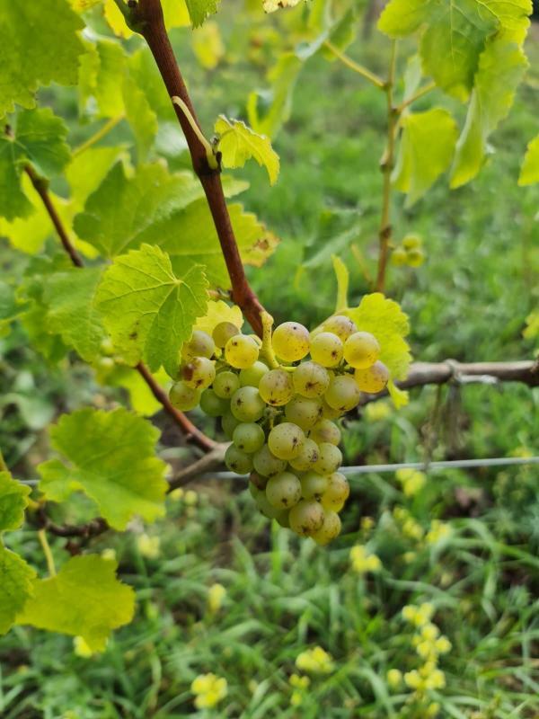 Propriété - 300 m² - 8 pièces