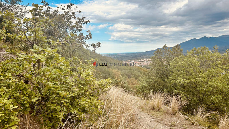 Terrain agricole - 6 500 m²