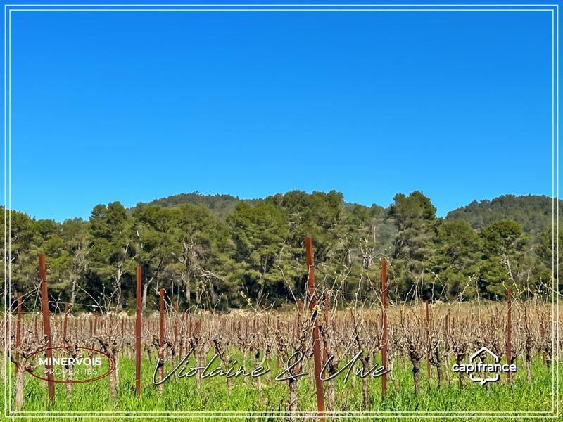 Maison - 446 m² - 16 pièces