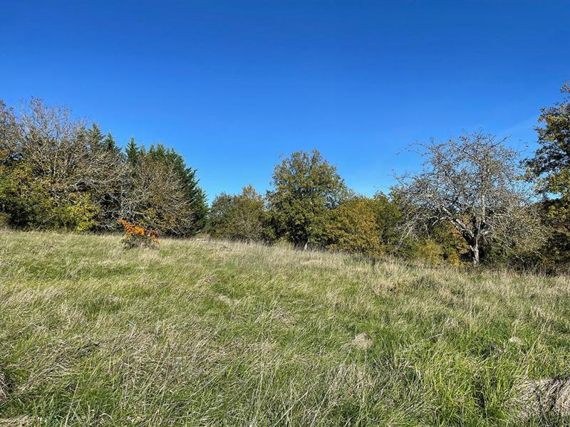 Terrain constructible - 3 039 m²
