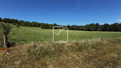Terrain - 21 356 m²