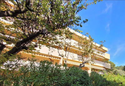 Viager - Appartement - 102 m² - 4 pièces