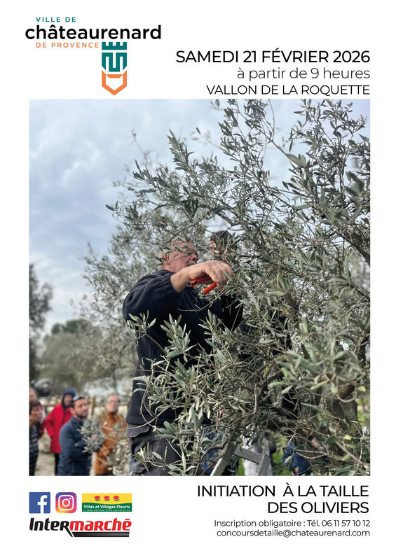 Initiation à la taille des oliviers