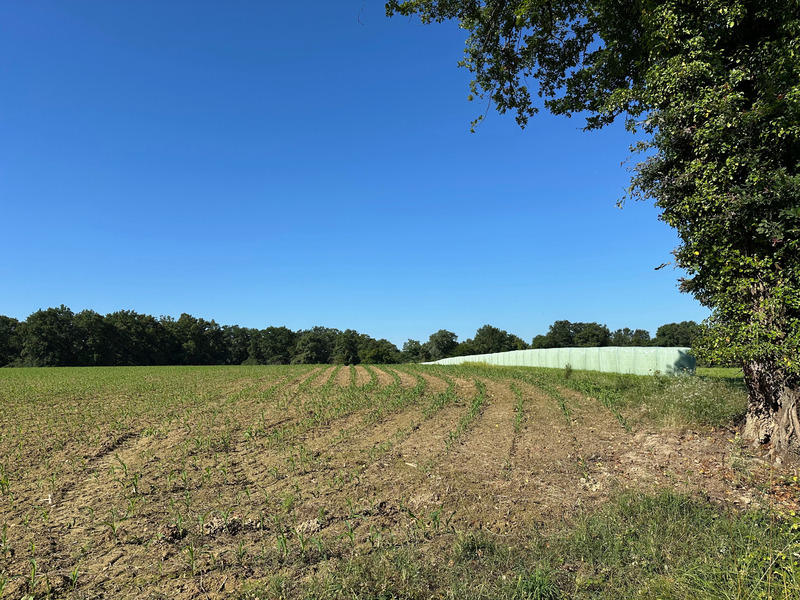 Maison - 180 m² - 5 pièces