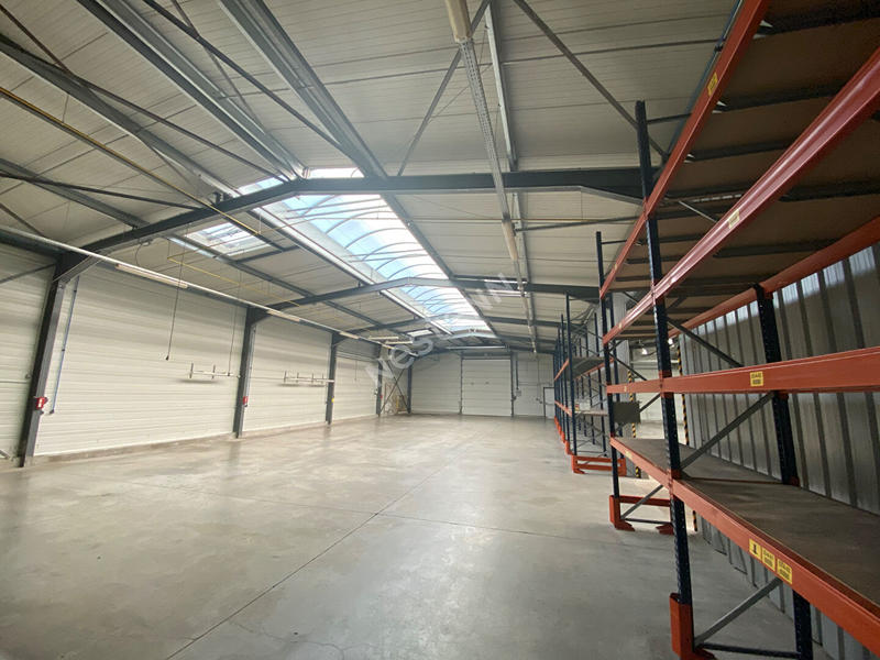 Local d'activité / Entrepôt - 1 250 m²