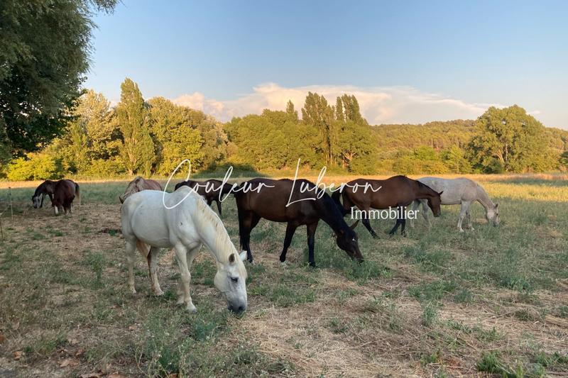 Propriété - 600 m² - 14 pièces