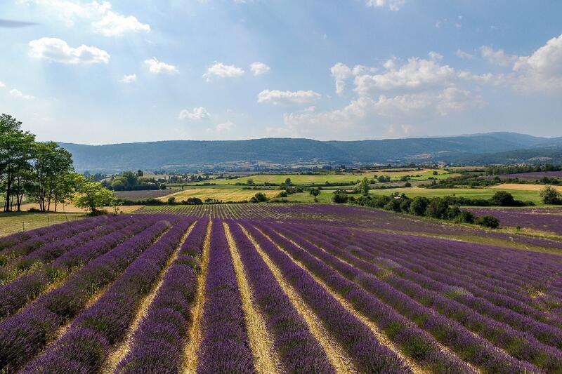 Mas - 376 m² - 11 pièces