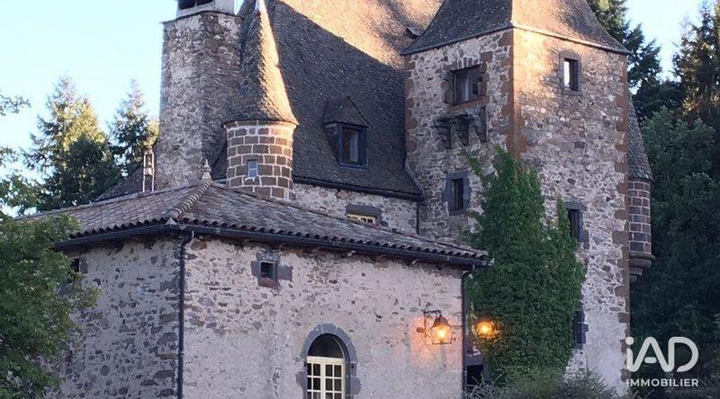 Château - 700 m² - 21 pièces