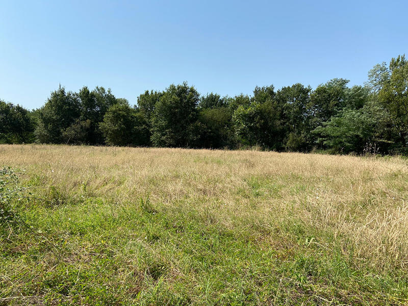 Terrain - 8 619 m²