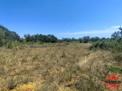 Terrain agricole - 6 751 m²