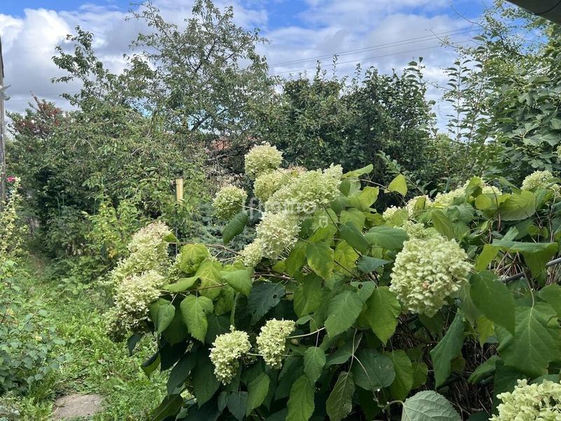 Maison - 290 m² - 11 pièces