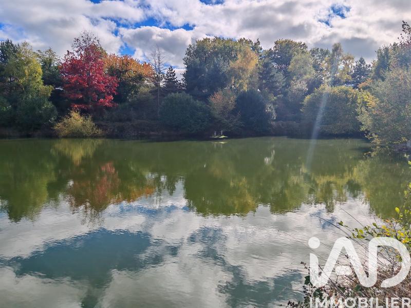 Terrain - 113 246 m²