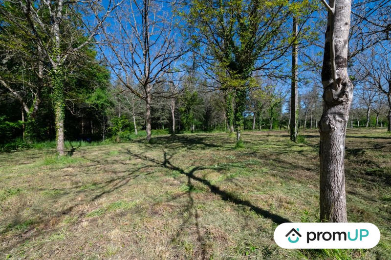 Terrain - 10 000 m²