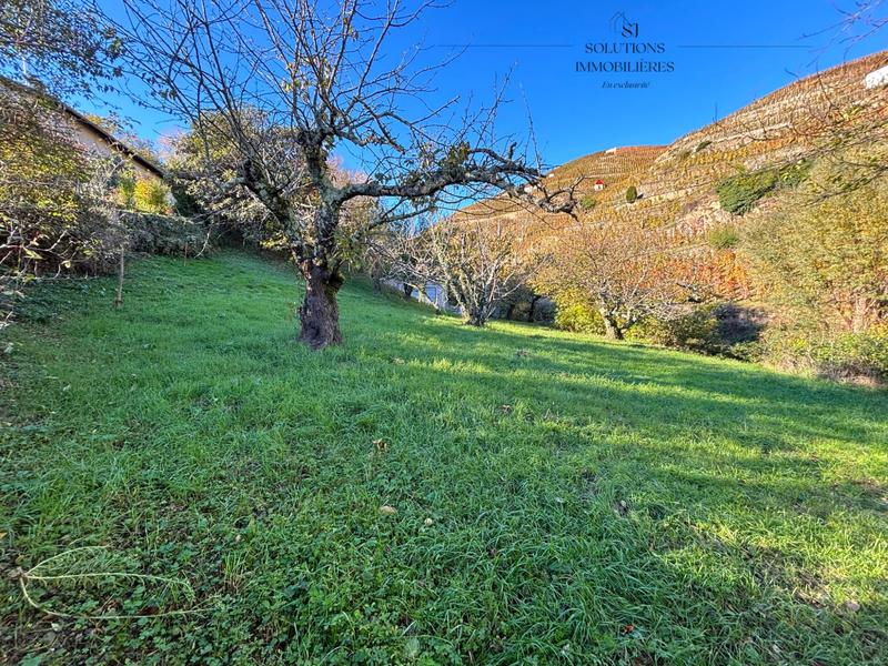 Terrain agricole - 705 m²