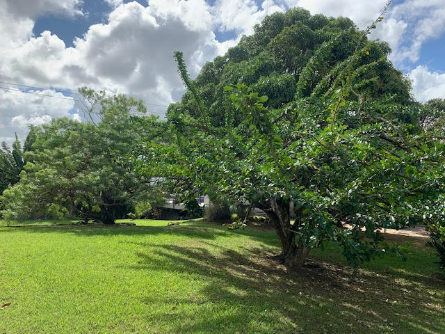 Villa - 190 m² - 7 pièces