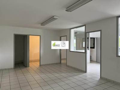 Bureau - 80 m² - 6 pièces