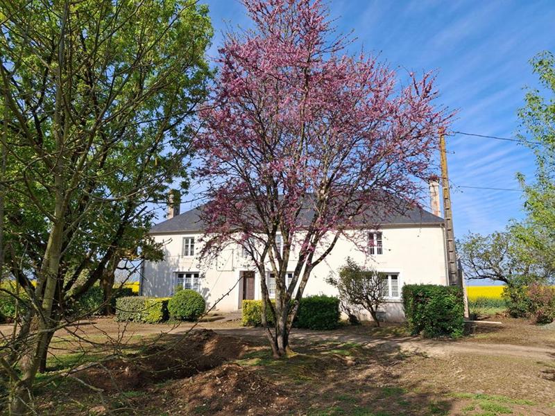 Maison - 230 m² - 8 pièces