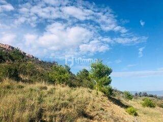 Terrain de loisirs - 26 000 m²