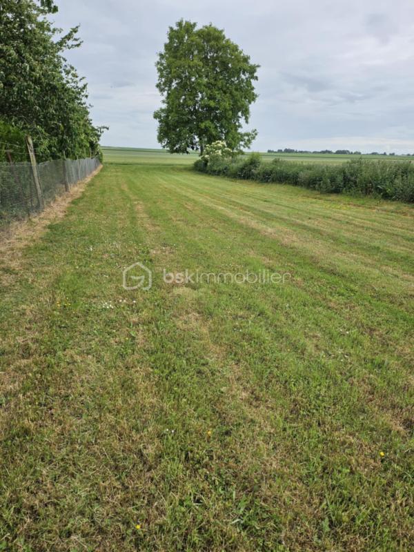 Terrain constructible - 1 035 m²