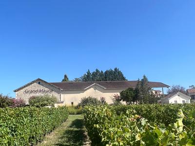 Tour du domaine et dégustation au Domaine du Grand Mayne
