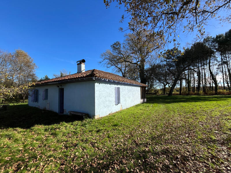 Viager - Maison - 110 m² - 5 pièces