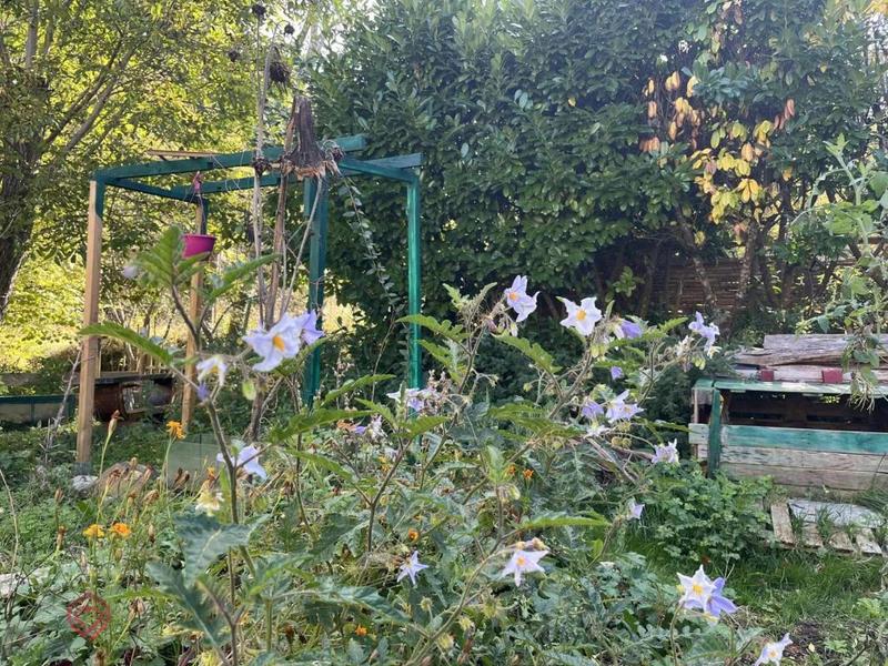 Maison de village - 126 m² - 4 pièces