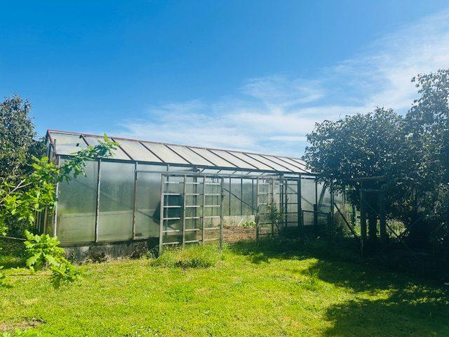 Maison ancienne - 140 m² - 5 pièces