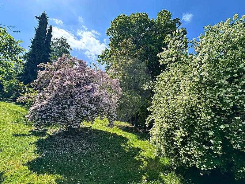 Propriété - 140 m² - 5 pièces