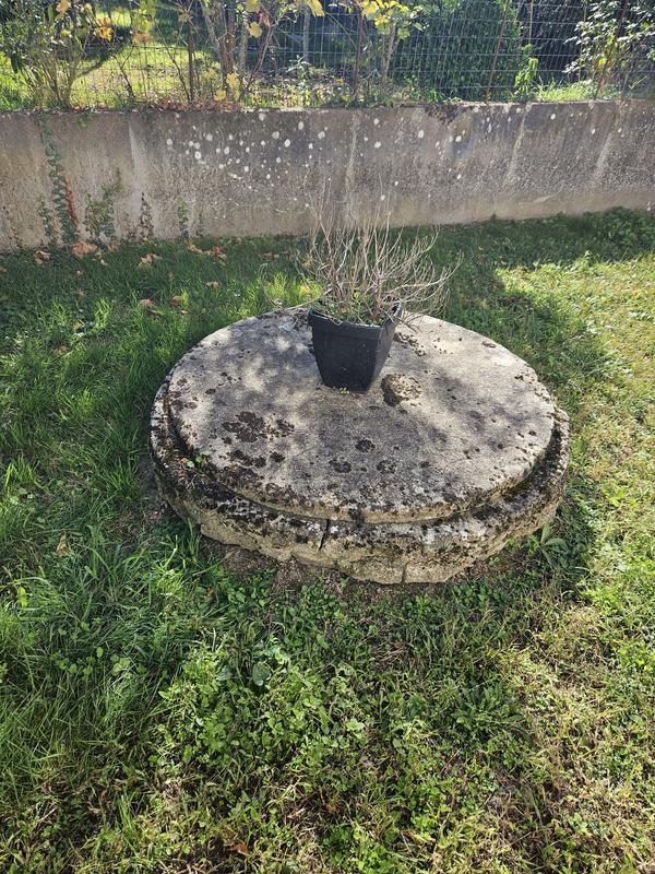 Maison - 78 m² - 4 pièces