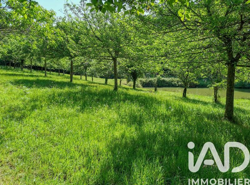 Terrain agricole - 15 000 m²