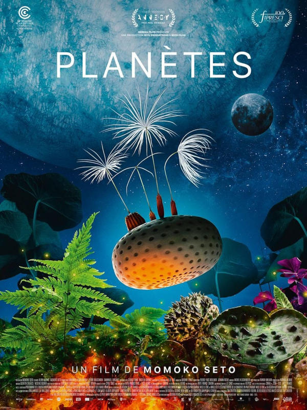 Cinéma Pontonx : Programmation Avril 2026