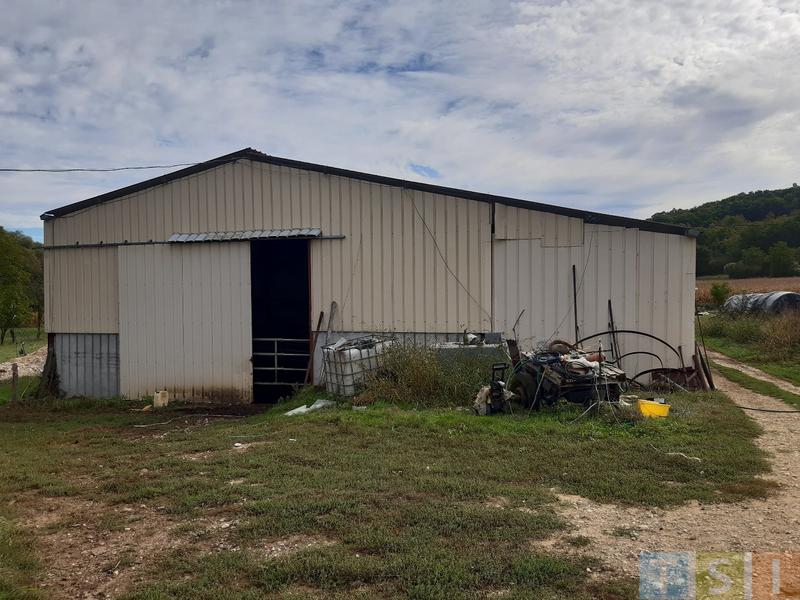 Propriété viticole - 220 m² - 8 pièces